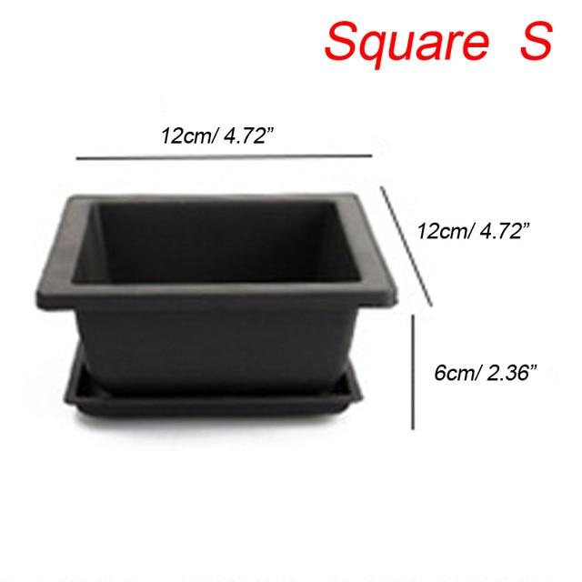 Succulents Flower Pot