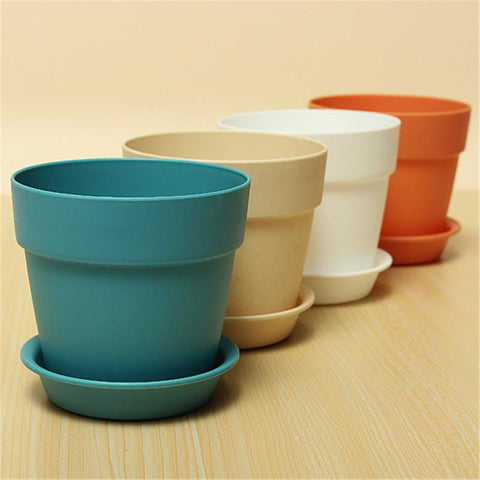 Garden Plants Flower Pot