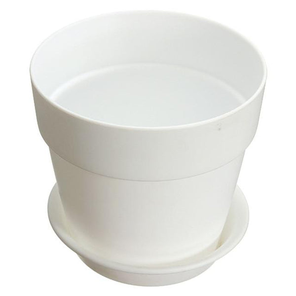 Garden Plants Flower Pot