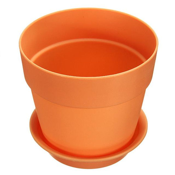 Garden Plants Flower Pot