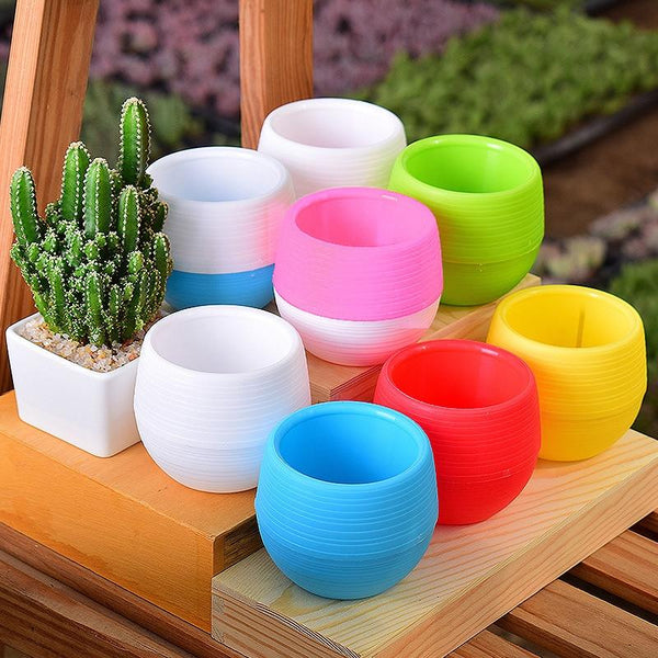 Lovely Colorful Flower Pots