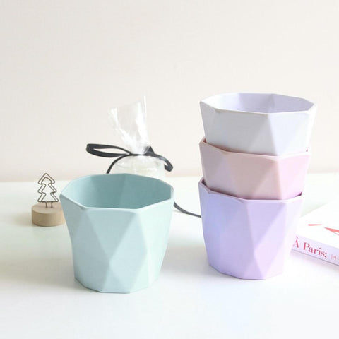 Flower Pot Succulent Plant