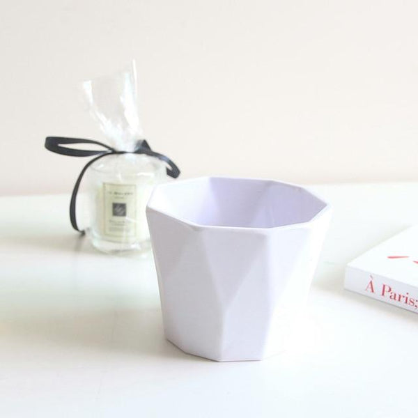 Flower Pot Succulent Plant