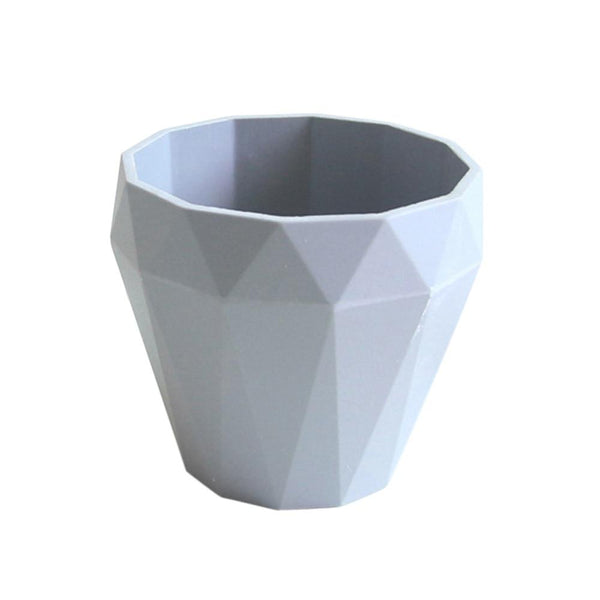 Flower Pot Succulent Plant